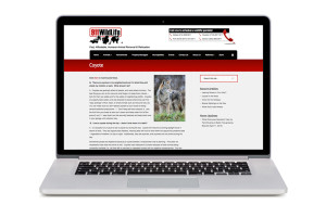 web_15